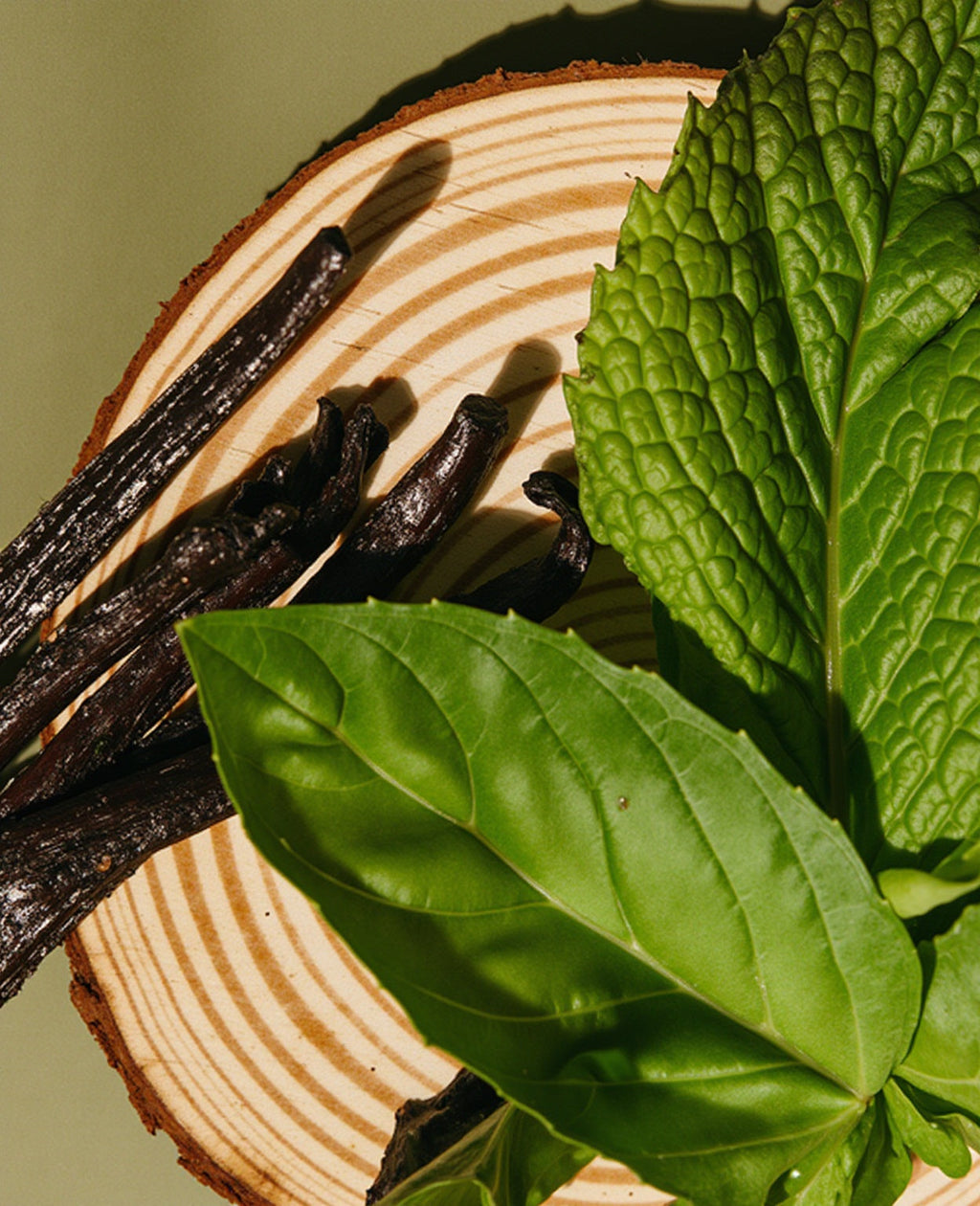 cypress embrace & minted grove™ fragrance oil