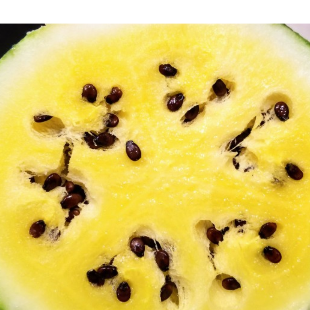 Early Moon Beam Watermelon Seeds
