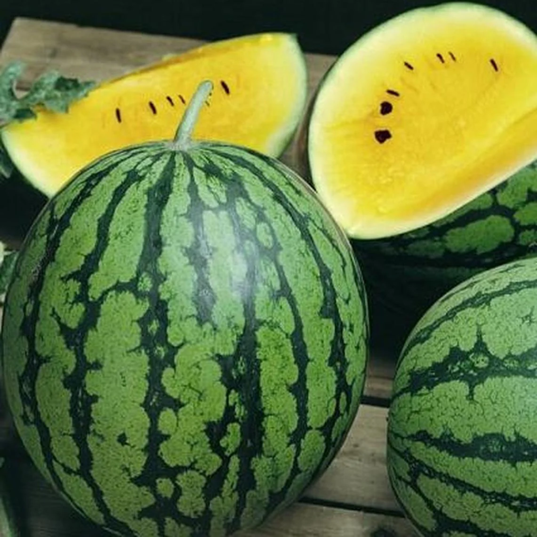 Early Moon Beam Watermelon Seeds