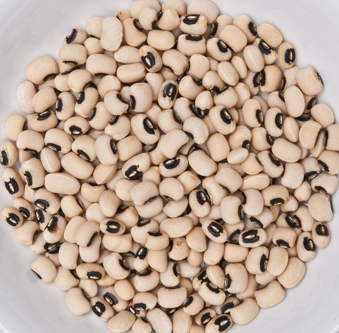 California Black-Eye Cowpea Seeds